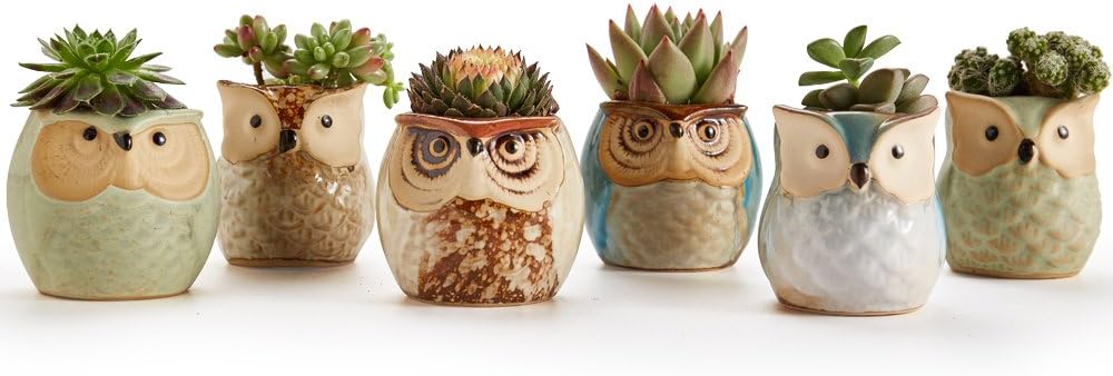 6 in Set Owl Pot Ceramic Flowing Glaze Base Serial Set Succulent Plant Pot Cactus Plant Pot Flower Pot Container