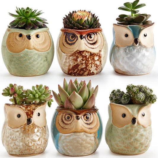 6 in Set Owl Pot Ceramic Flowing Glaze Base Serial Set Succulent Plant Pot Cactus Plant Pot Flower Pot Container