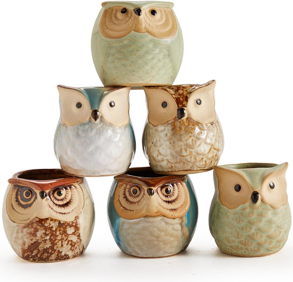 6 in Set Owl Pot Ceramic Flowing Glaze Base Serial Set Succulent Plant Pot Cactus Plant Pot Flower Pot Container