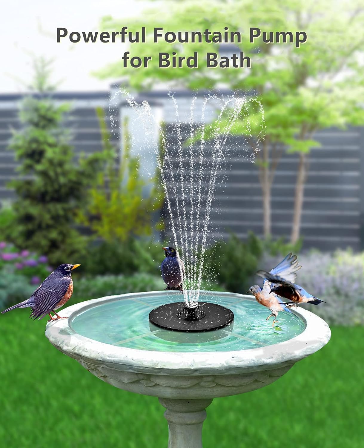 Solar Fountain, Living Solar Fountain for Bird Bath, Floating Water Fountain Pump, Solar Powered Water Bubbler Pump for Garden, Birdbath, Pool, Pond, Outdoor