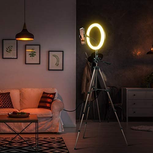 Selfie Ring Light with Tripod Stand, Ring light with Remote & Phone Holder for YouTube/Tiktok Stream/Makeup, LED Circle Light Tripod (Brown)