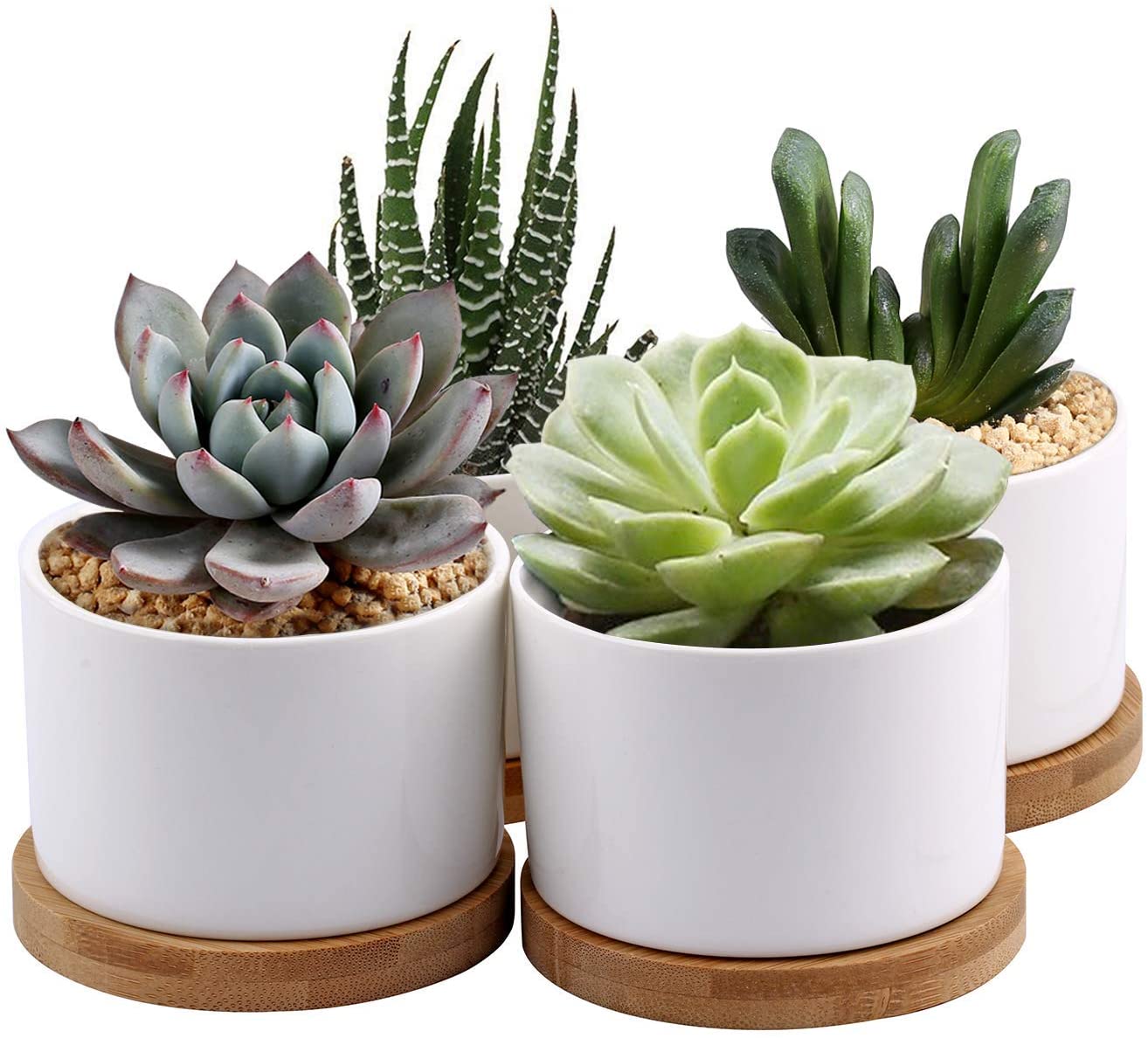 Succulent Planter ZOUTOG White Mini 3.15 inch Ceramic Flower Planter Pot with Bamboo Tray Pack of 4 (Plants NOT Included)